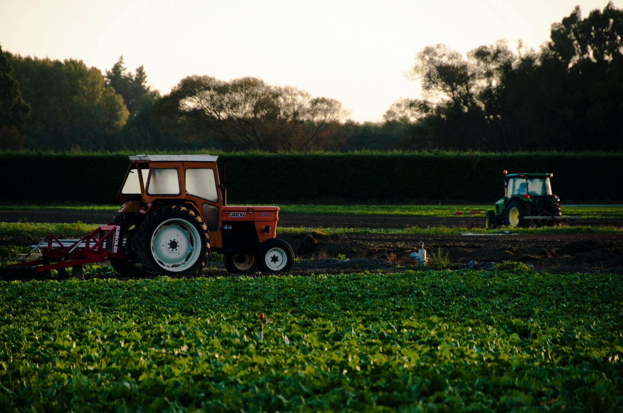 Imagem de plantação com veículo agrícola equipado com cabine para tratores