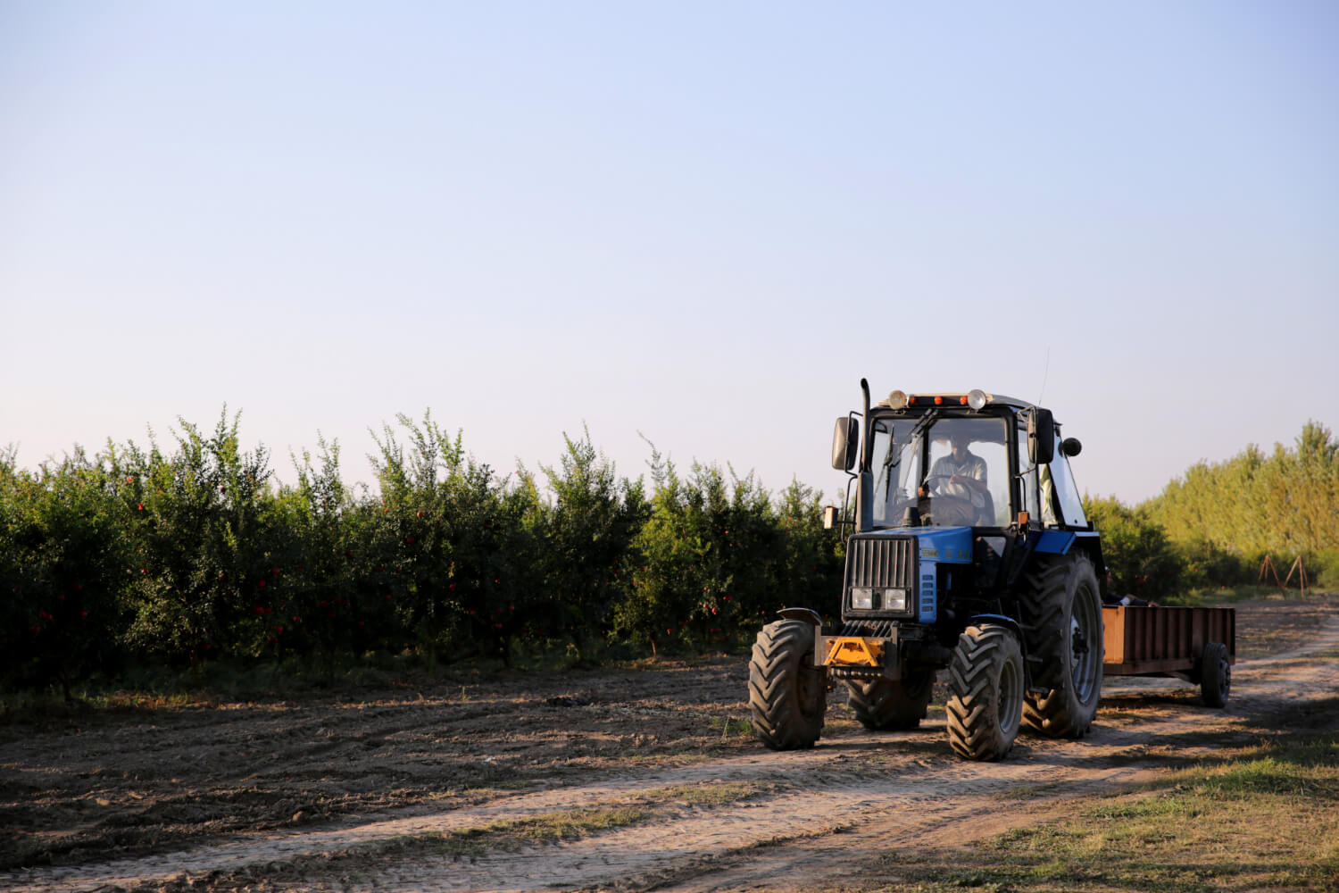 Trator azul com cabine personalizada trabalhando no campo em dia ensolarado.